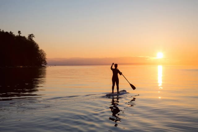 Person paddleboarding on calm water at sunset with the sun reflecting on the water and a tree-lined shoreline nearby.
