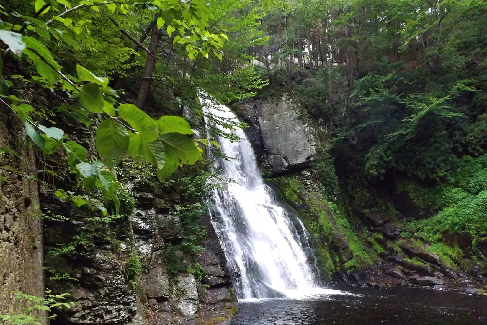 Tall waterfall cascading over moss-covered rock formations into a dark pool, surrounded by vibrant green forest vegetation.