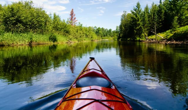 Front view from a red kayak gliding along a calm forest river with bright summer greenery