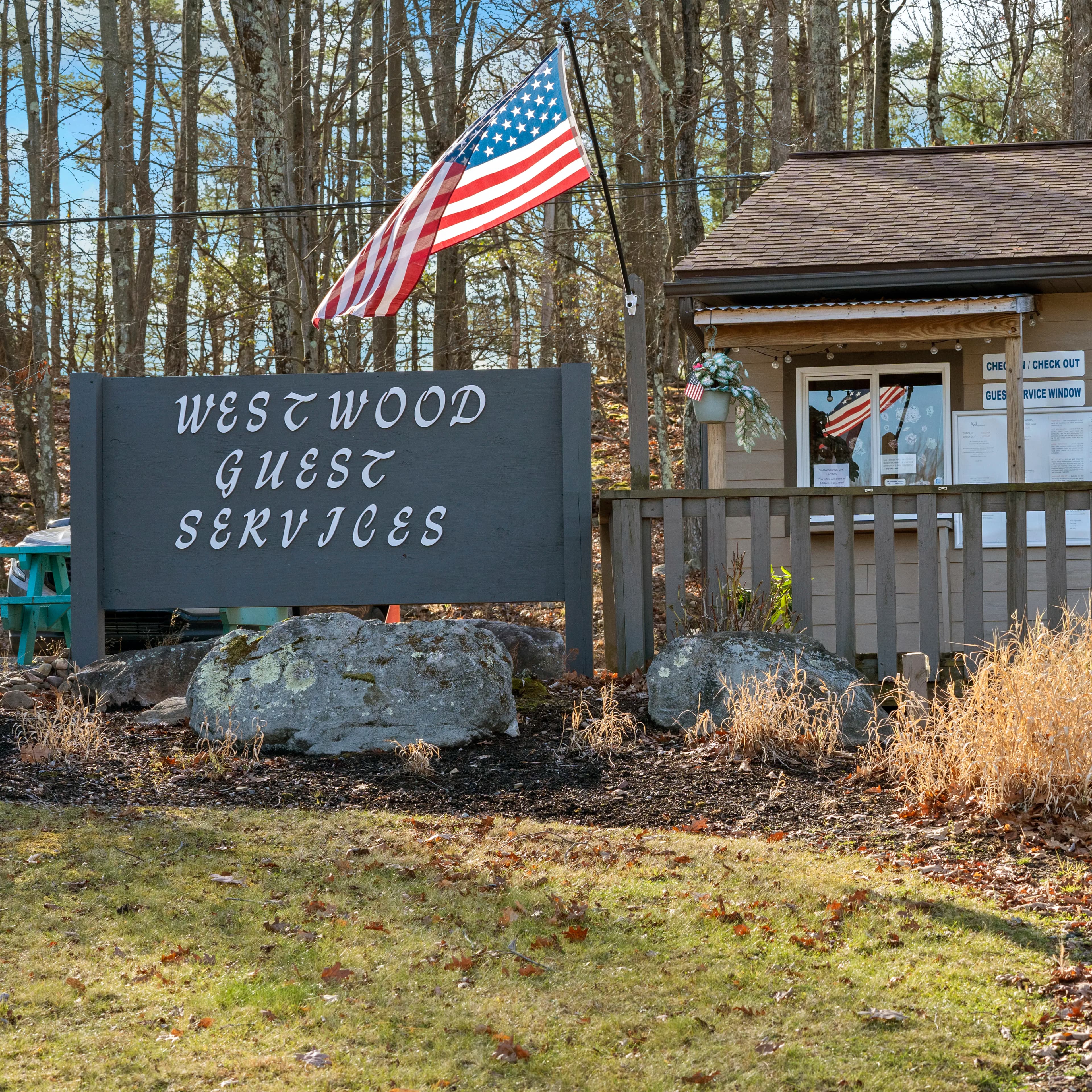 Two deer standing alert on a grassy area near trees and residential buildings, illuminated by bright sunlight.