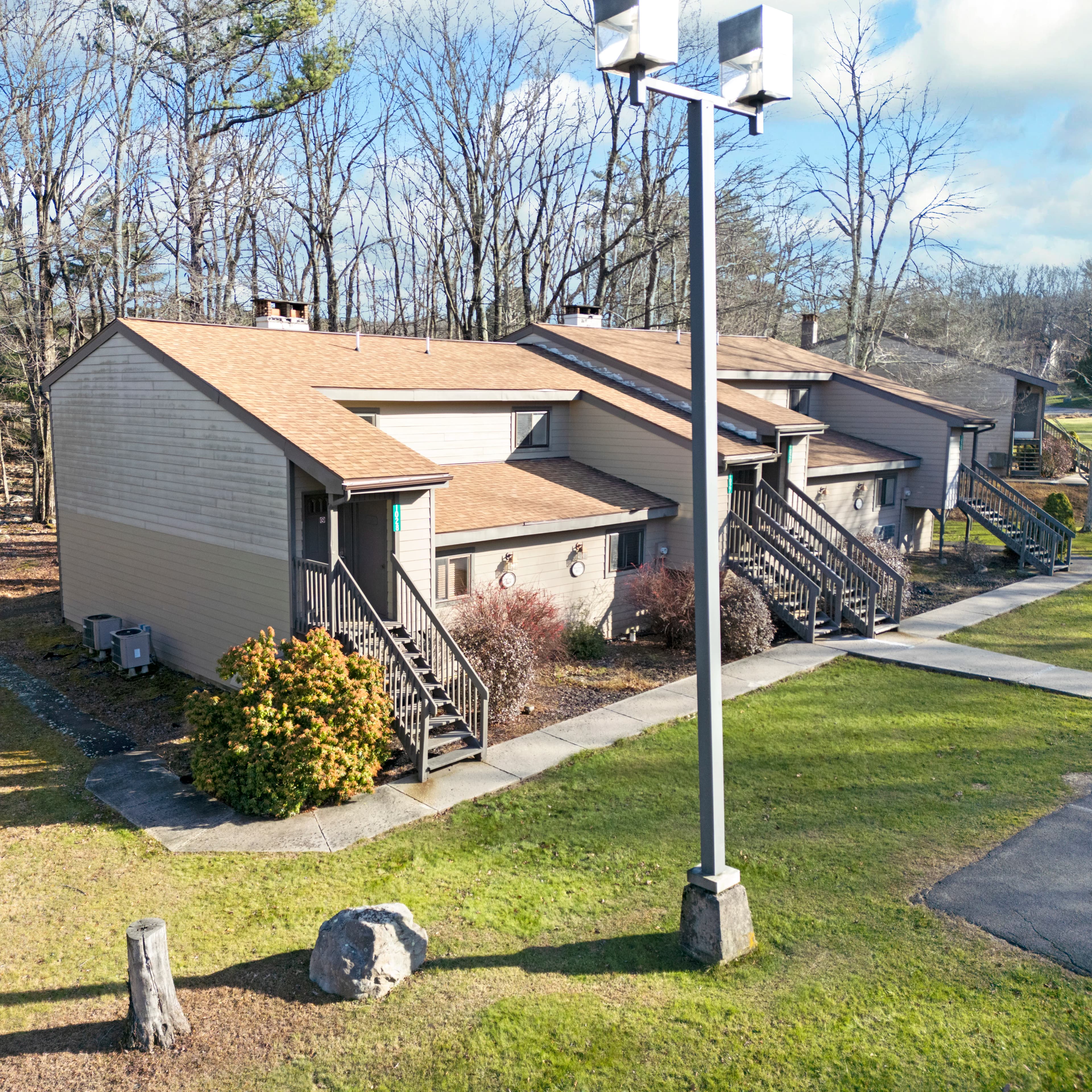 View of a wooded landscape from a wooden deck, showing tall bare trees and scattered evergreen growth under a clear sky.
