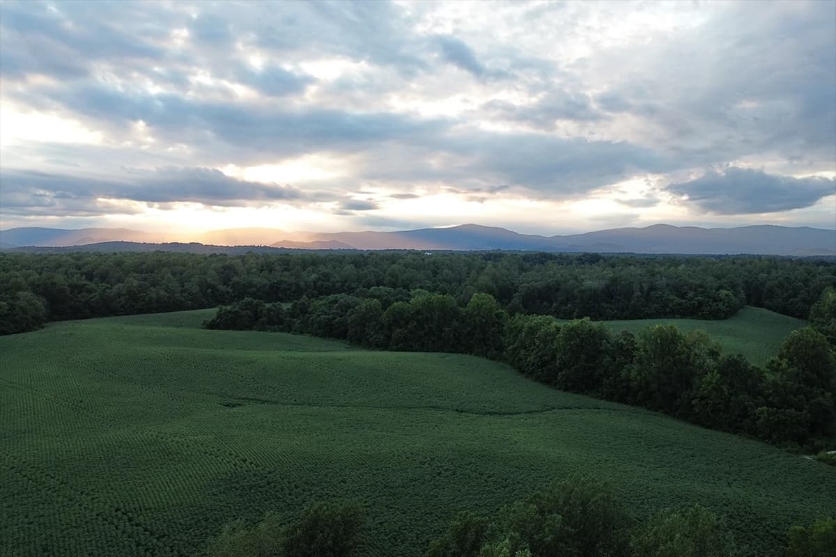 Rolling green fields with distant mountain views under a cloudy sky.